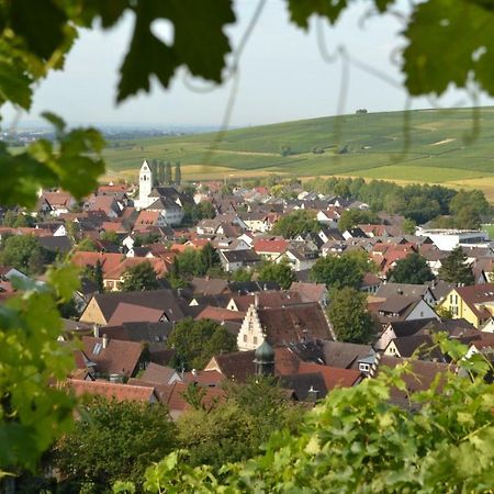 Ferienwohnung Schneckental Pfaffenweiler Eksteriør bilde