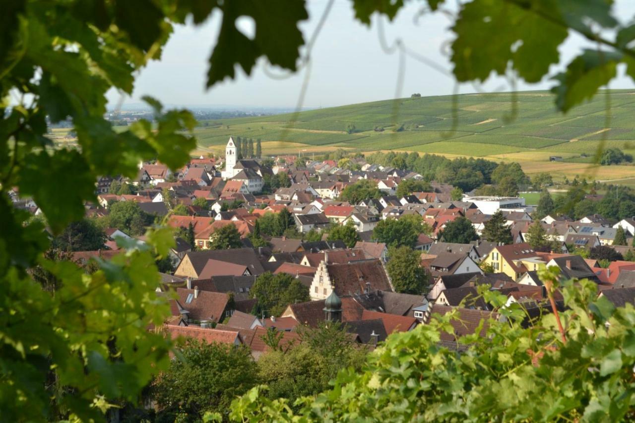 Ferienwohnung Schneckental Pfaffenweiler Eksteriør bilde